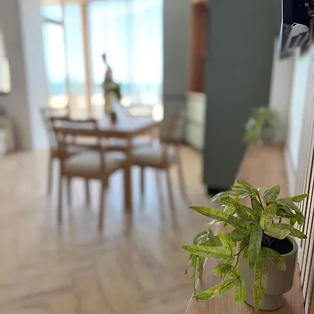 Abt Sea View Mamaia Nord